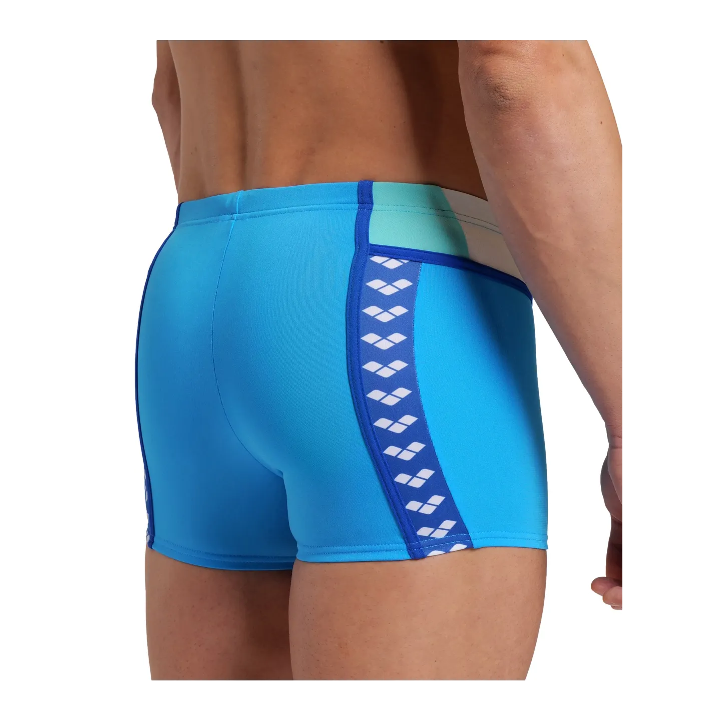 Maillot de Bain Homme   ARENA ICONS SWIM SHORT PANEL