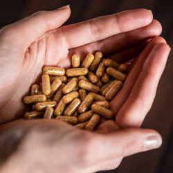 Gelée Royale Tonic Bio