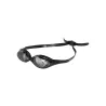 Lunettes Spider - R_Smoke  Black
