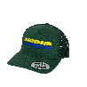 Casquette SWIIIM EVERGREEN YELLOW BLUE
